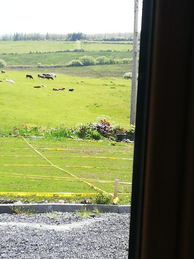 Peace And Tranquility Hotel Ballymote Exterior photo