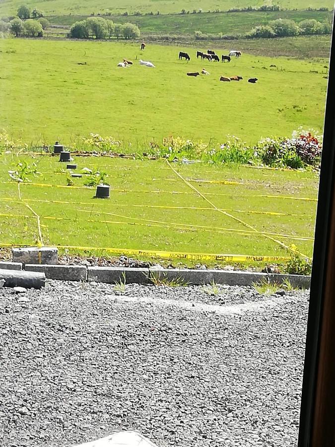 Peace And Tranquility Hotel Ballymote Exterior photo